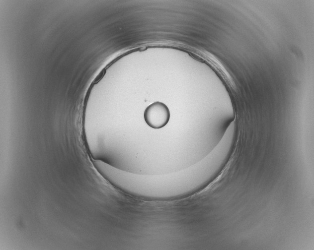 X0000115851244200912111347