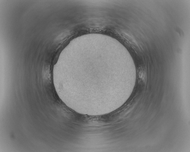 X0000115851252200912111346