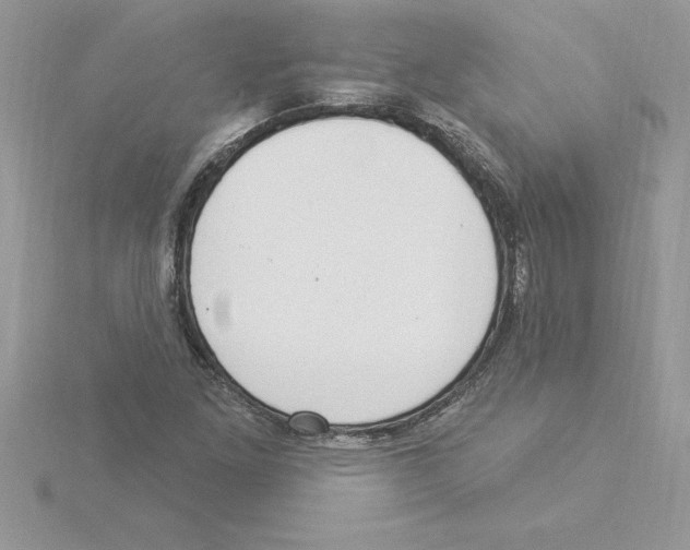 X0000115851261200912111346
