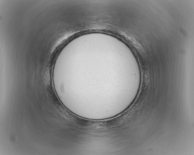 X0000115851262200912111346