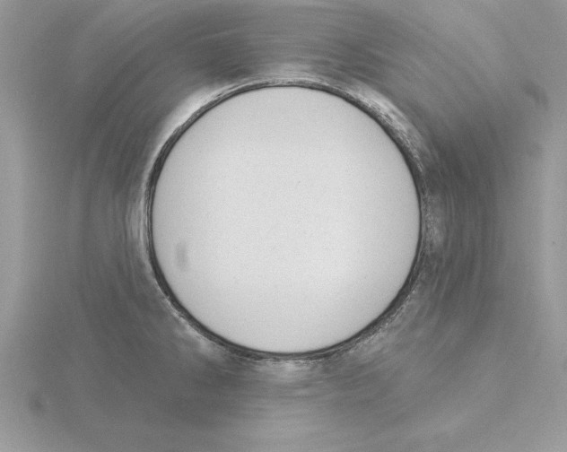 X0000115851286200912111346