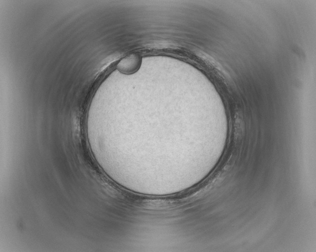 X0000115851305200912111345