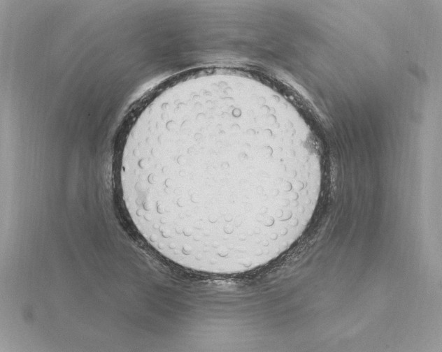 X0000115851315200912111345