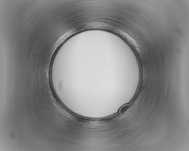 X0000115851330200912111345