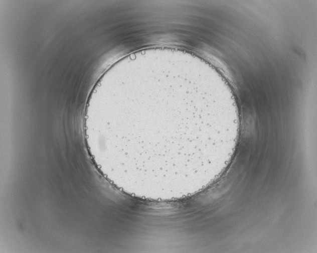 X0000115851338200912111346