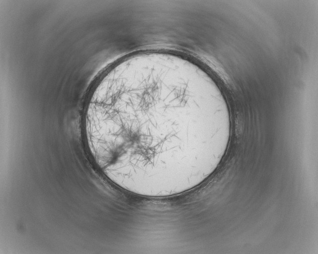 X0000115851356200912111345