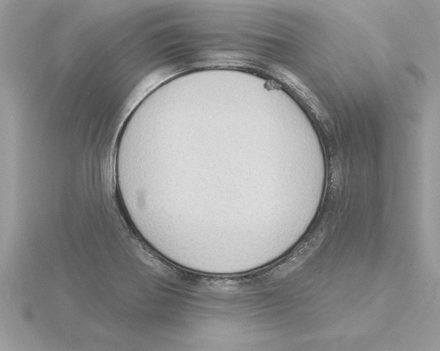 X0000115851370200912111345