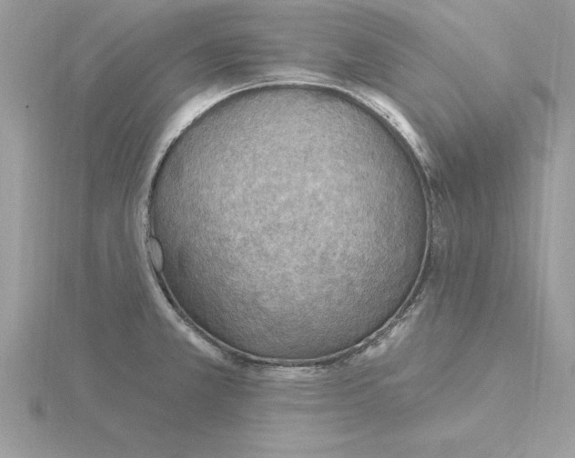 X0000115851381200912111345