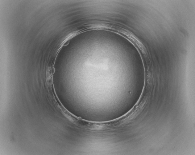 X0000115851385200912111345