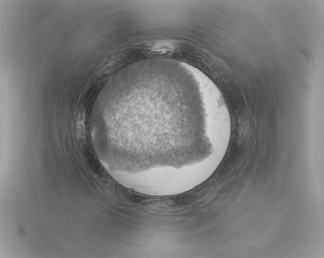 X0000115851394200912111344
