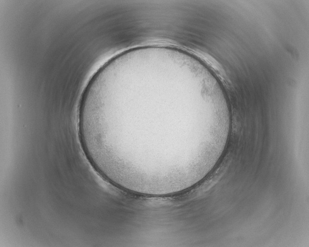 X0000115851430200912111344