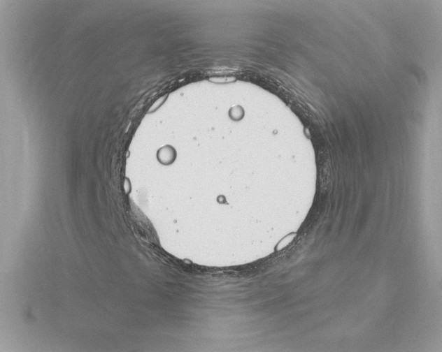X0000115851441200912111344