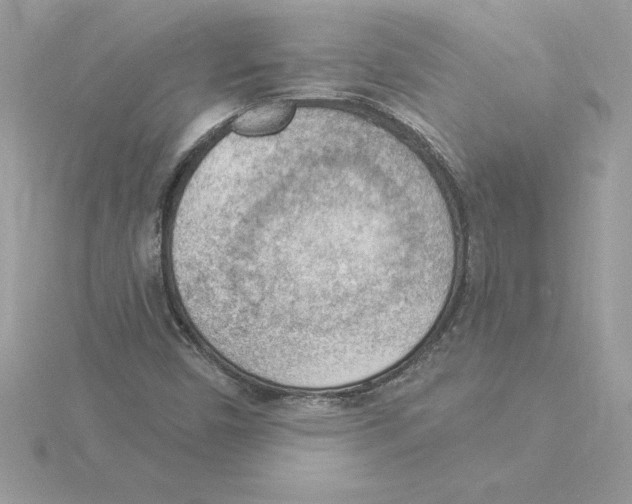 X0000115851450200912111344