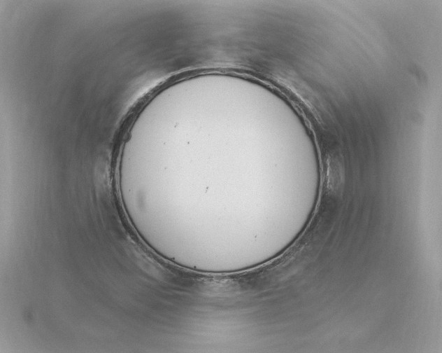 X0000115851452200912111344