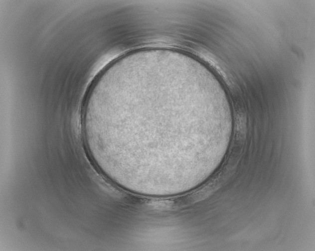 X0000115851466200912111343