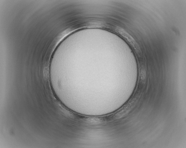 X0000115851473200912111343