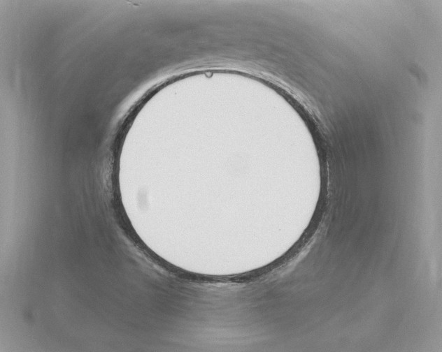 X0000115851502200912111343