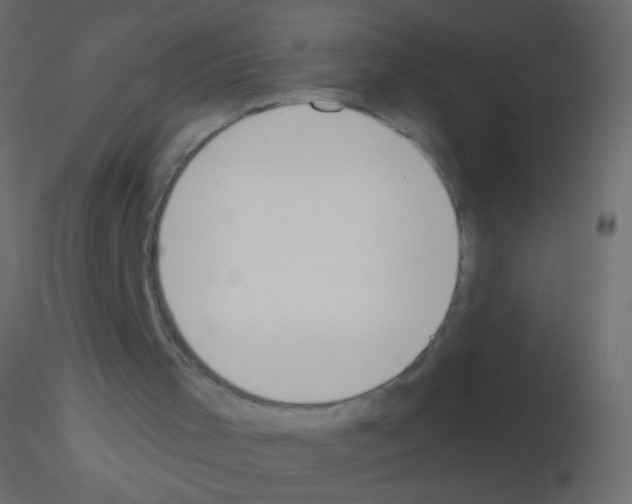 X0000115850001200912242047