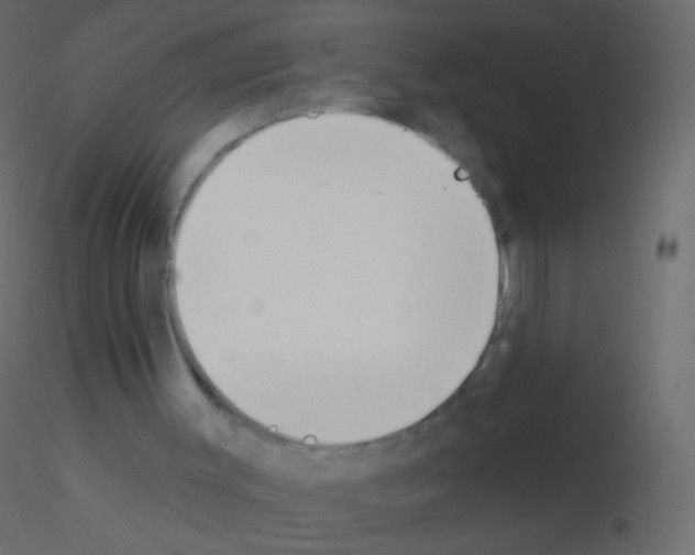 X0000115850003200912242047