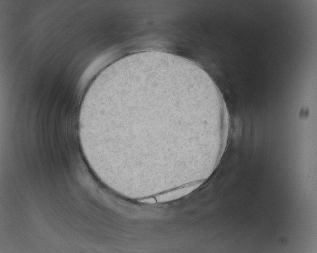 X0000115850004200912242047
