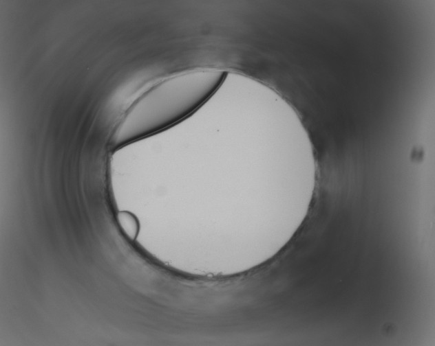 X0000115850005200912242047