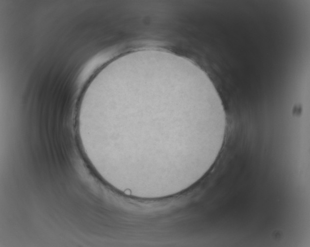X0000115850006200912242047