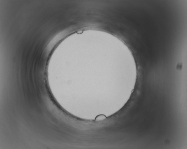 X0000115850007200912242047