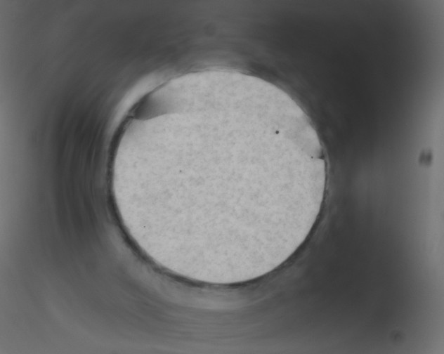 X0000115850008200912242047