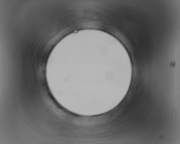 X0000115850009200912242047