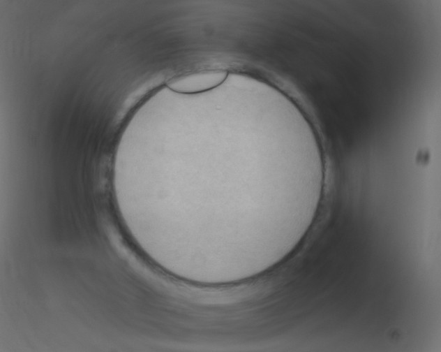 X0000115850010200912242047