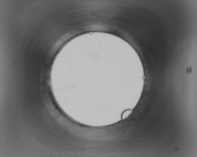 X0000115850011200912242047