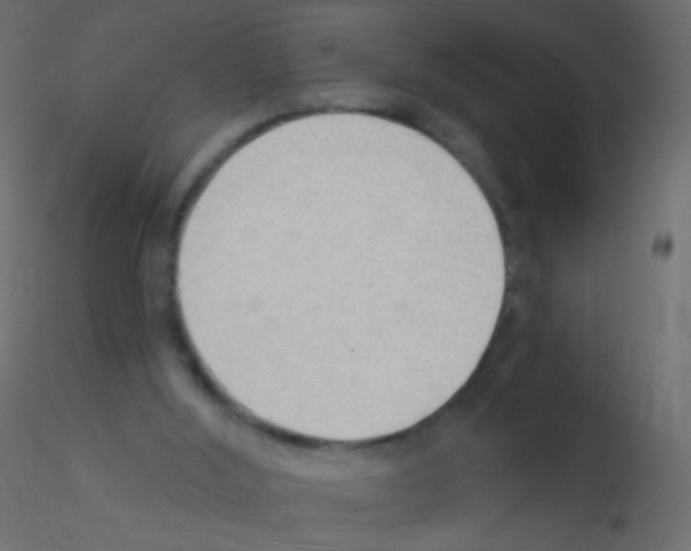 X0000115850012200912242047