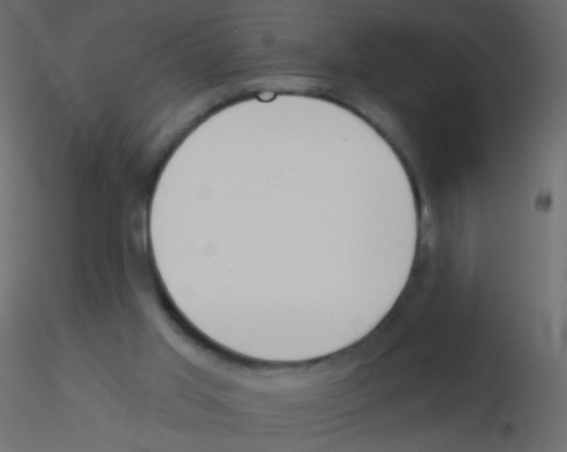 X0000115850013200912242047