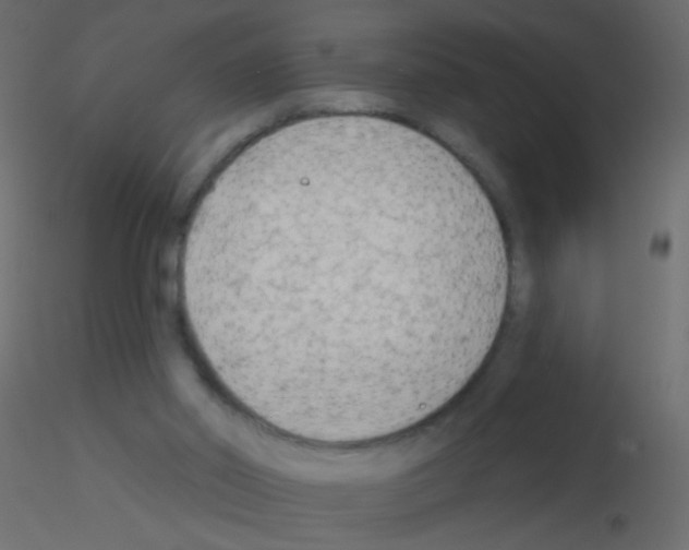 X0000115850014200912242047