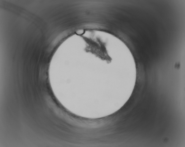 X0000115850015200912242047