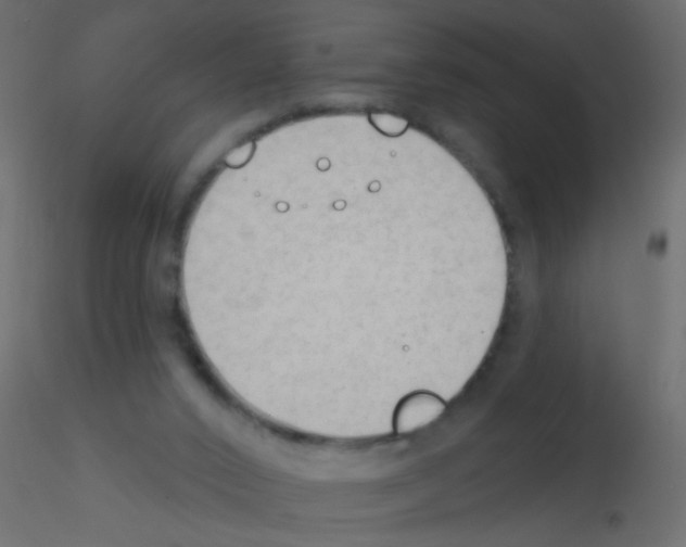 X0000115850016200912242047