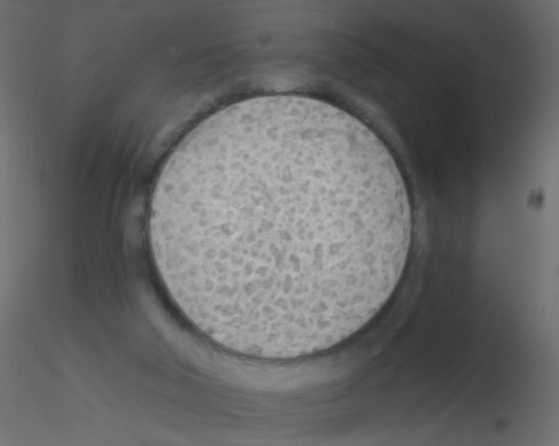 X0000115850018200912242047