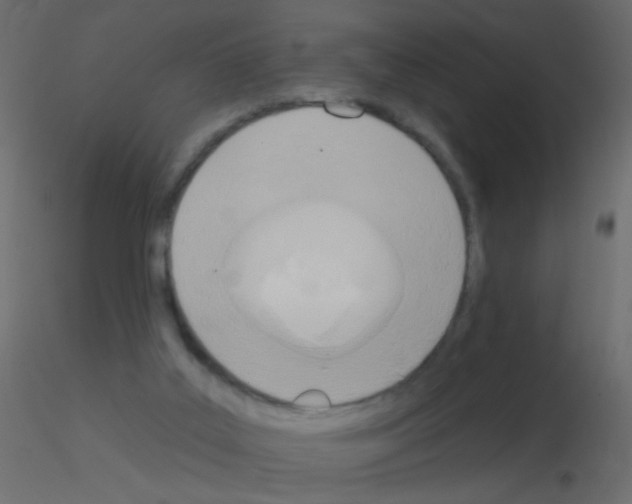 X0000115850019200912242047