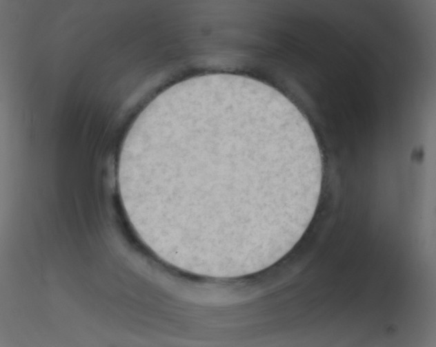 X0000115850020200912242047