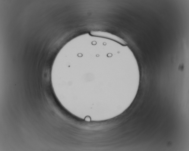 X0000115850021200912242047
