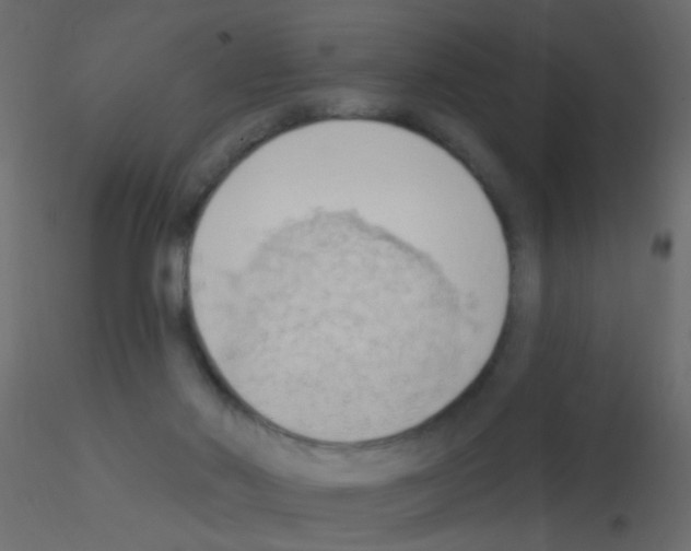 X0000115850022200912242047