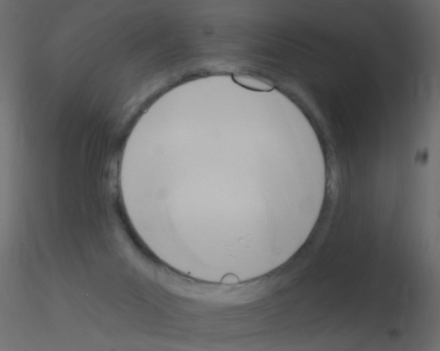 X0000115850023200912242047
