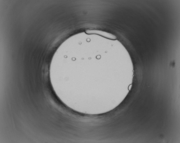 X0000115850024200912242047