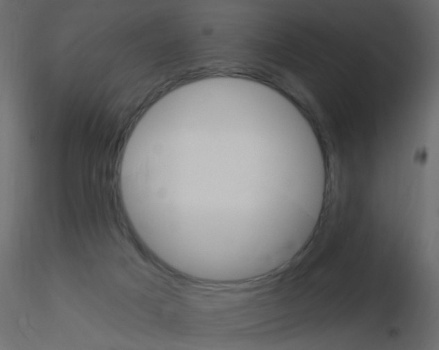 X0000115850025200912242047