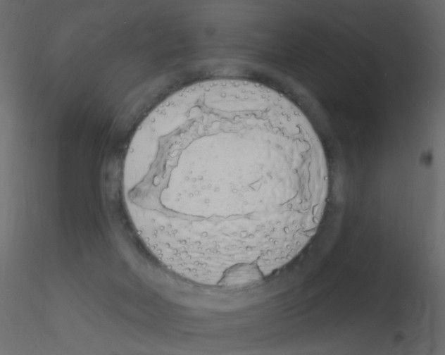 X0000115850026200912242047