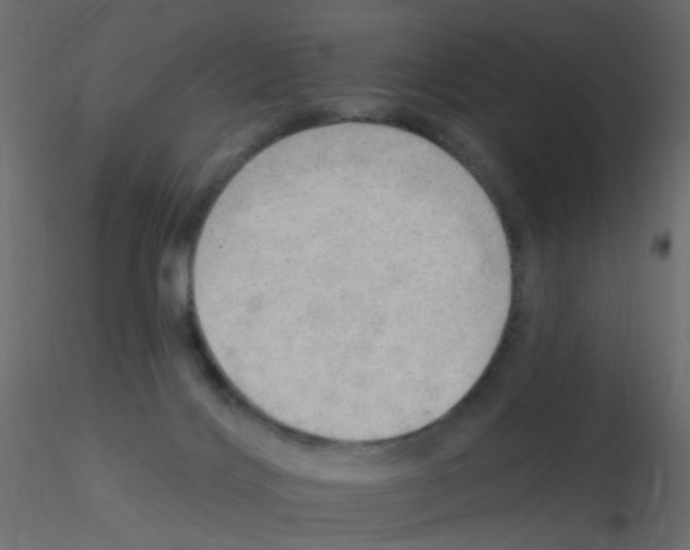 X0000115850028200912242047