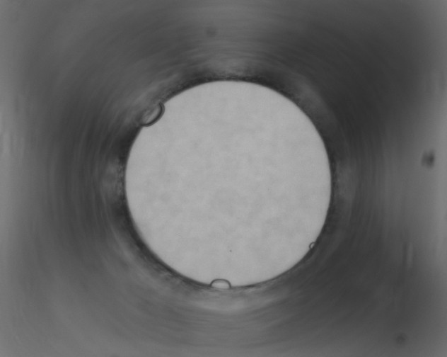 X0000115850029200912242047