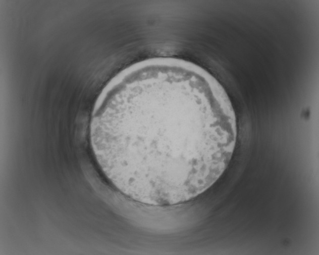 X0000115850030200912242047