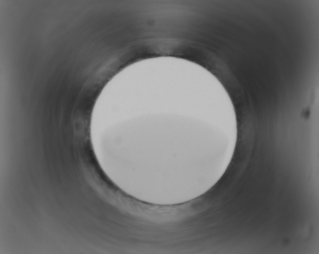 X0000115850031200912242047