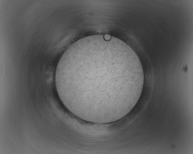 X0000115850032200912242047